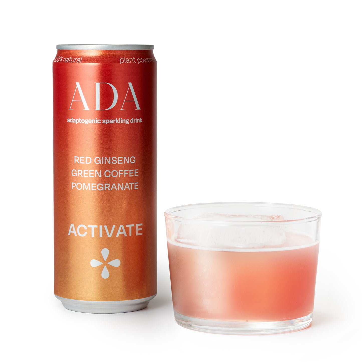 ACTIVATE (24x 33cl Dosen)