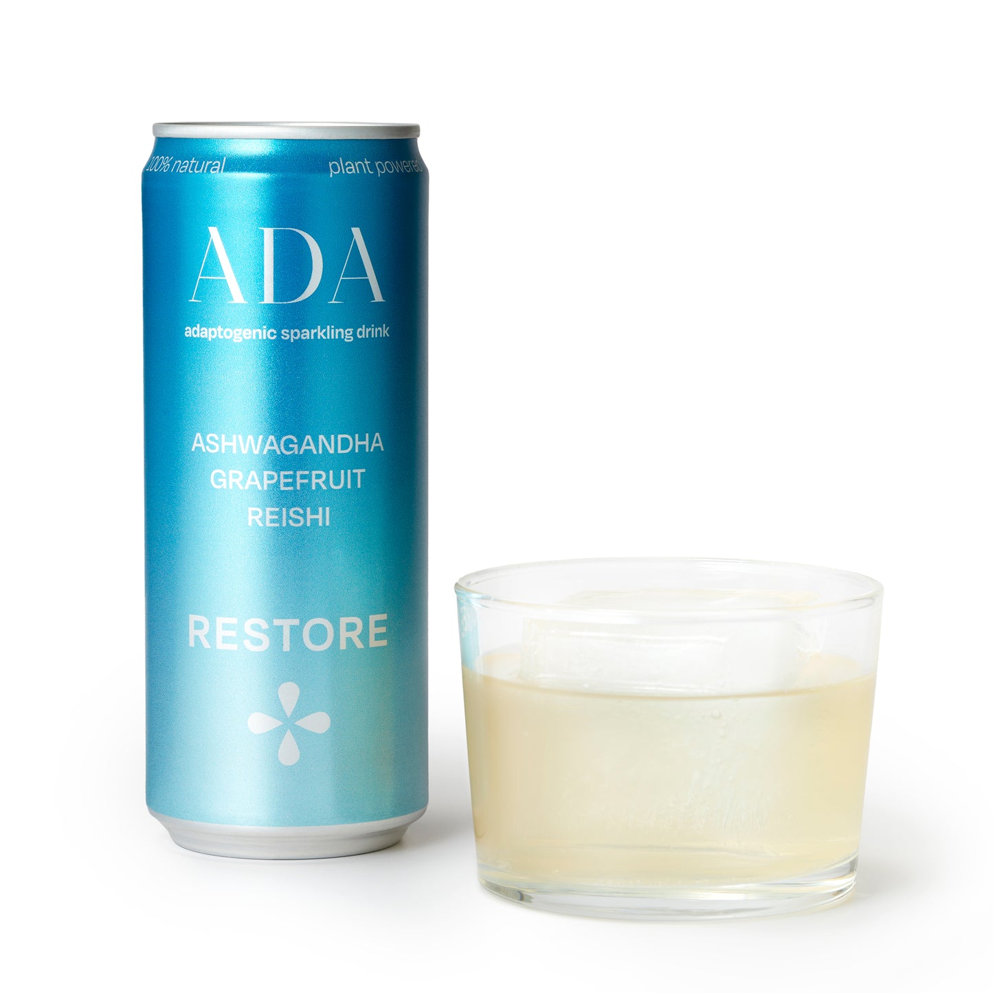 RESTORE (24x 33cl Dosen)